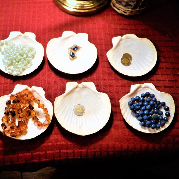 Set of (6) SEA SHELLS ~ Many Uses - Picture 3 of 3